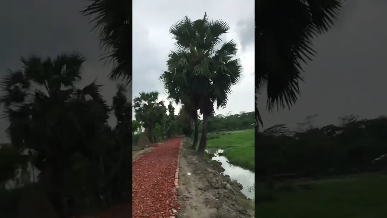 তরমুজ চাষিদের নিয়ে কিছু কথা বল্লাম আশা করি সাবাই কথা গুলো বুজবেন। আল্লাহ সবাইকে মাফ করবেন।