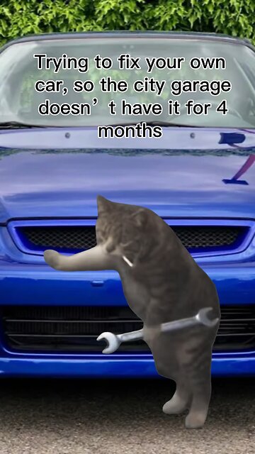 Funny car meme video 😂✅👍🏽