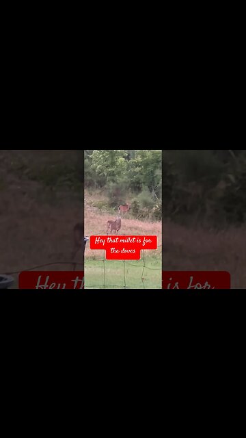 What are they doing #shortsvideo #shorts #short #shortfeed