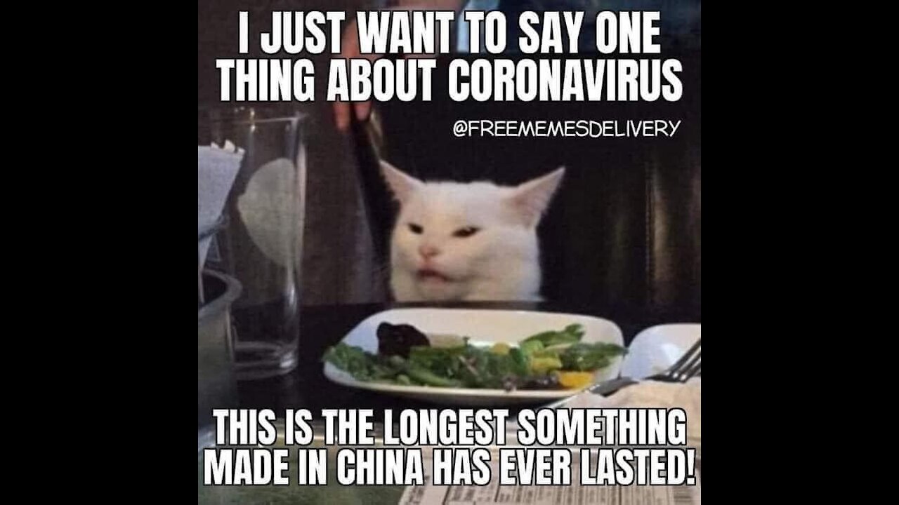 YT REMOVED VIDEO AFTER 8 HOURS/ INAPPROPRIATE CONTENT/ AKA TRUTH/ WHAT ARE THEY AFRAID OF?/2 STRIKES YT 1 WEEK SUSPENSION