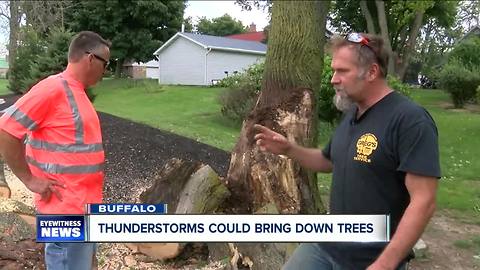 Thunderstorms could bring down trees across WNY