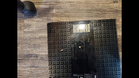 Weigh-In Nov 11, 2024