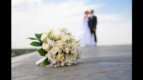 live music, concert, wedding, Comedy