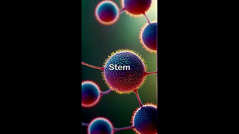 stem cell therapy