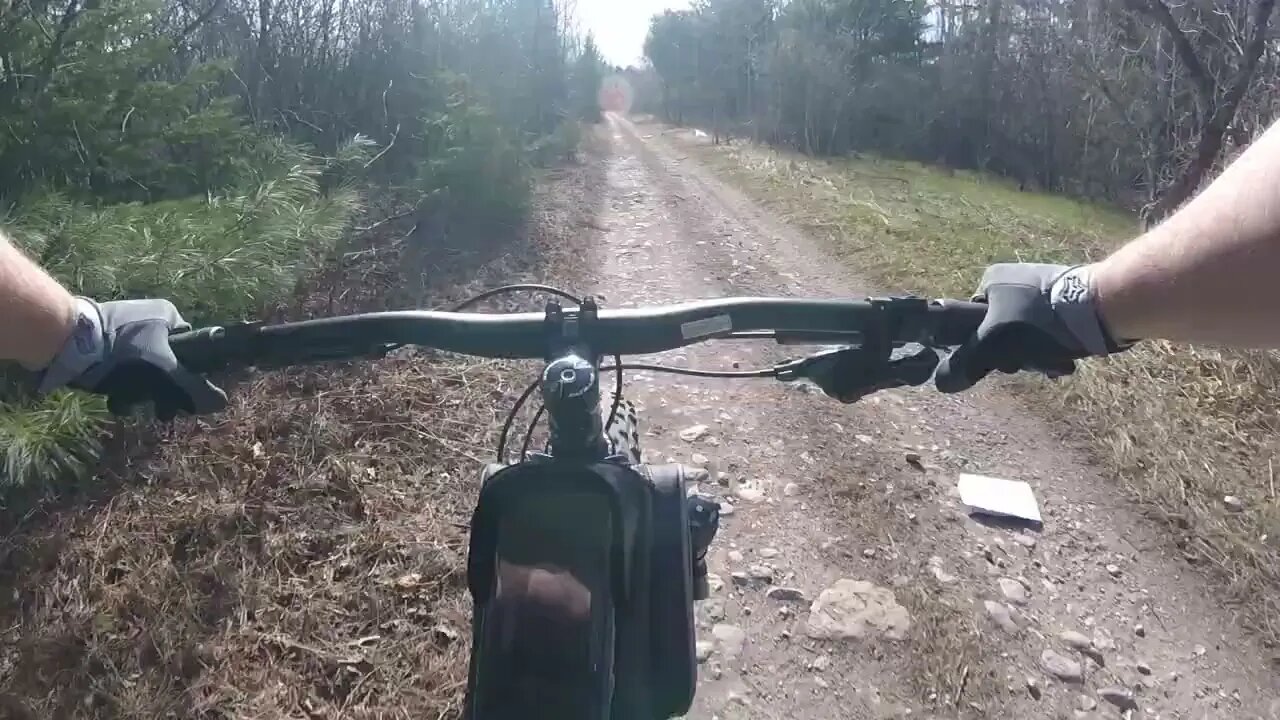 Can the Rhino Climb? Yup! ( Fatback Rhino )