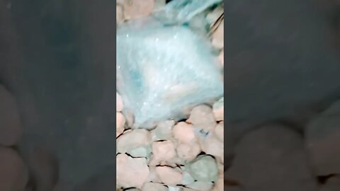 TH∆-ÑËVËR~ÇüMMZ!!!!!!!!!!!!!!!!!