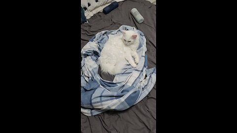 Kagome keeping herself clean