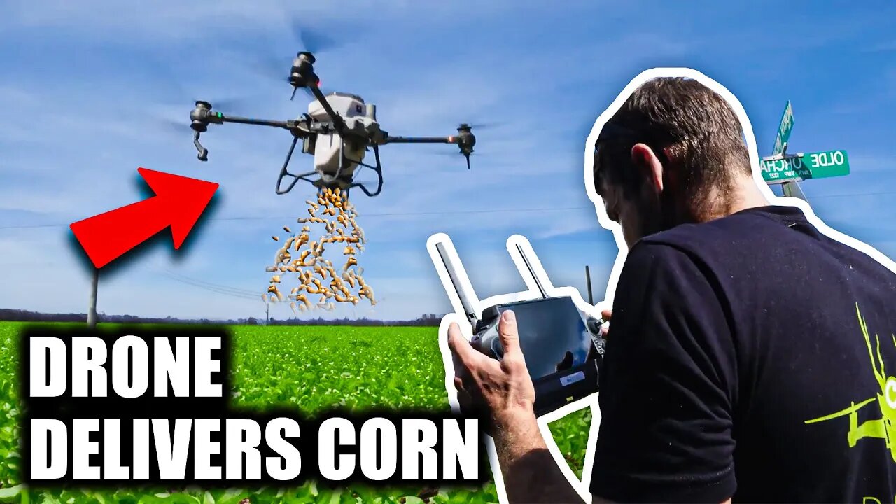 Drone Takes Corn Out & Sprays Small Food Plot