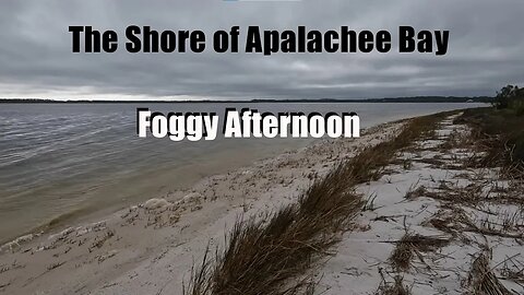 The Shore of Apalachee Bay, Florida - Foggy Afternoon