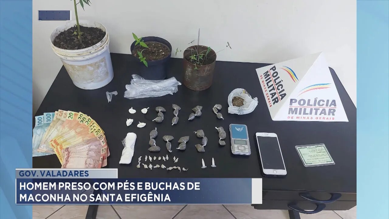 Gov. Valadares: Homem preso com Pés e Buchas de Maconha no Santa Efigênia.