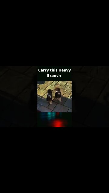 Come on help me carry this heavy branch #Shorts