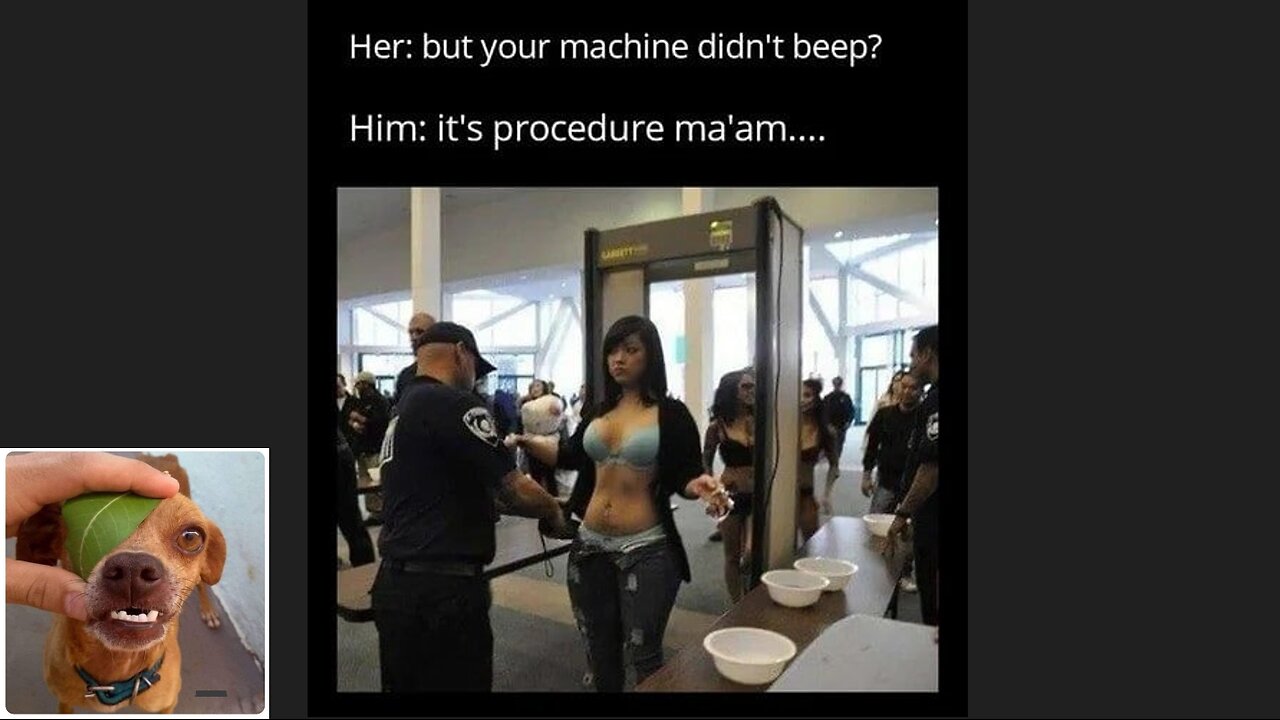 Memes That Will 99.911% Make You Laugh. (e136)
