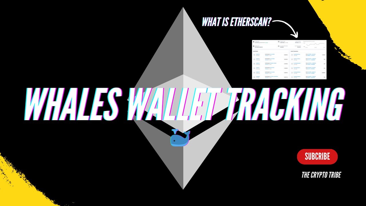 How To Track Whales Wallet || What Is Etherscan || Coin Transaction Tracking