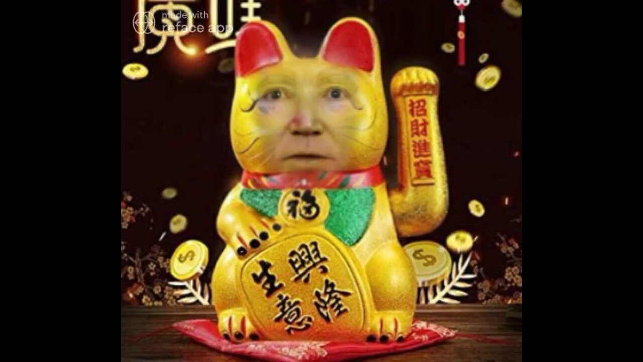 The Ultimate Joe Biden Cat Meme! 🇨🇳