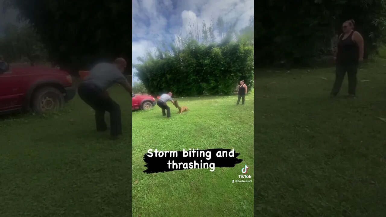 Storm biting and thrashing