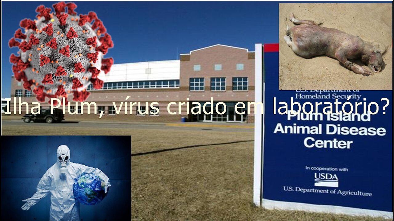 A Ilha Plum - vírus e monstro criado em laboratório?