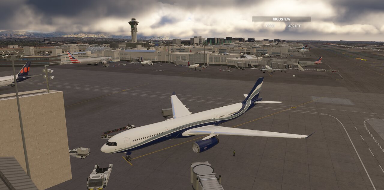 MSFS 2020 / Western U.S flight