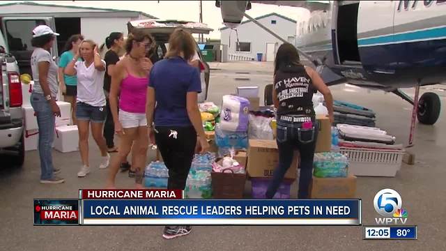 South Florida animal rescues team up to get supplies to Puerto Rico