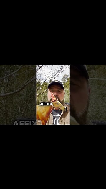 Transitioning a child is abuse | Pastor Mark Driscoll #shorts