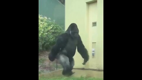 Курить за школу ходили.