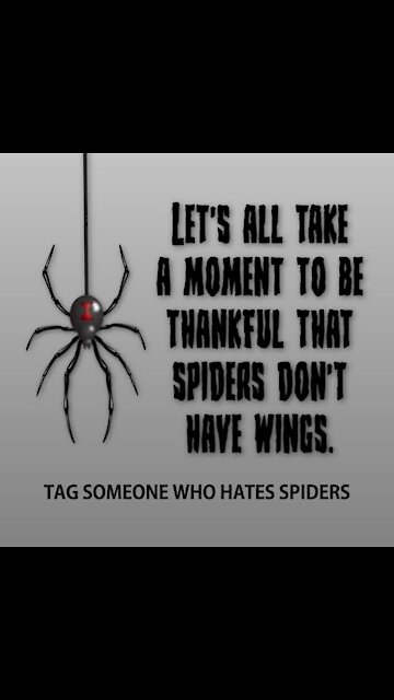 Spiders don't have wings [GMG Originals]