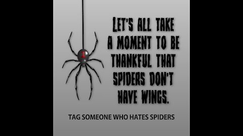 Spiders don't have wings [GMG Originals]