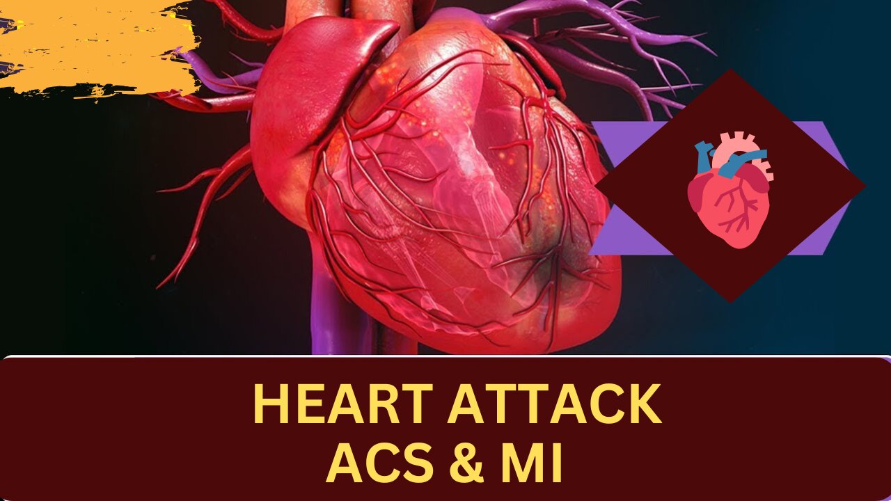 Essential Steps for Heart Attack Treatment and Recovery