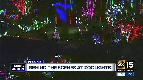 Behind-the-scenes look at Phoenix Zoolights