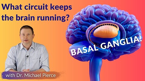 What circuit keeps the brain running? BASAL GANGLIA