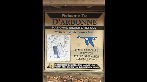 Thanksgiving at D’Arbonne NWR
