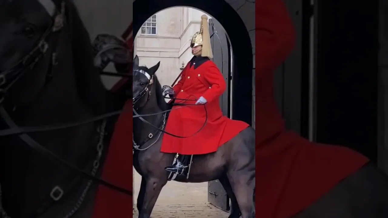 Horse scared of flags #horseguardsparade