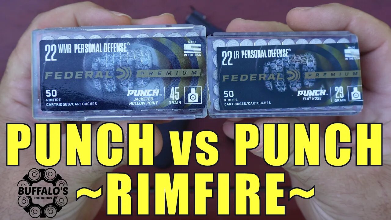 22LR vs 22 MAGNUM self defense ammo ~ PUNCH 👊