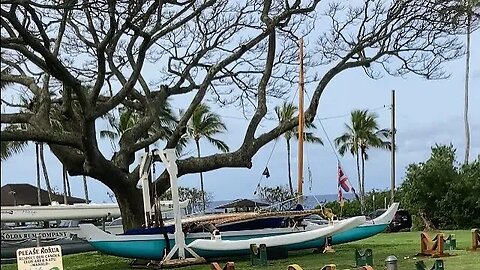 KUKUI’ULA HARBOR & SPOUTING HORN, KAUA’I