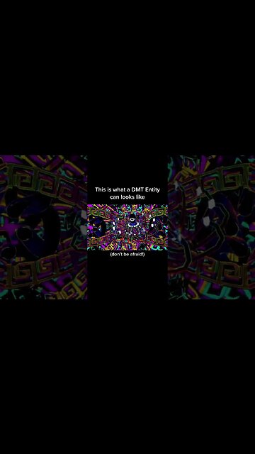 DMT SIMULATOR