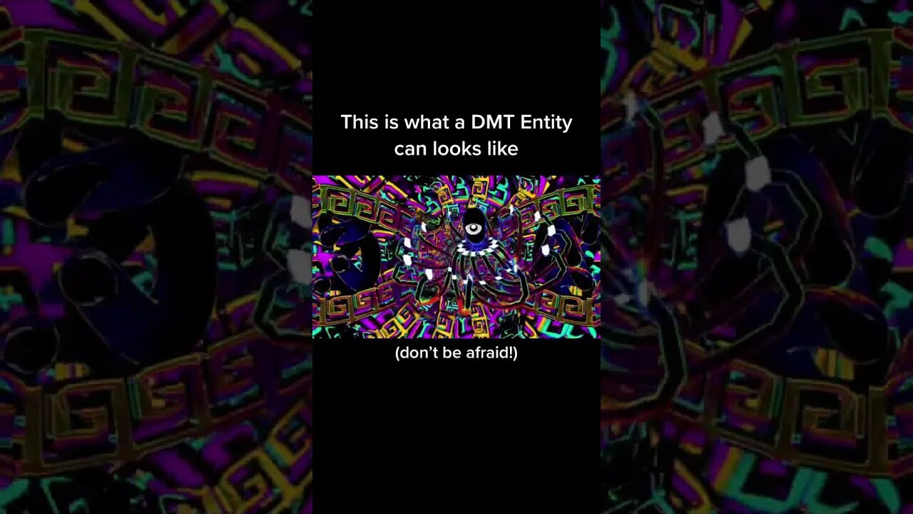 DMT SIMULATOR