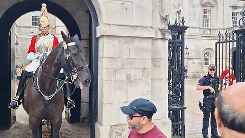 Tourist still trying to get a photo changing of the guard #horseguardsparade