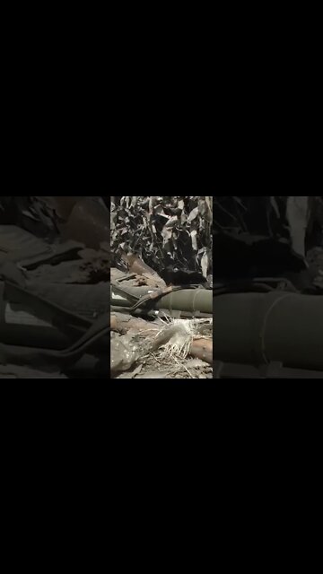 Ukrainian Terodefense Destroyed the Retreating Vushniks