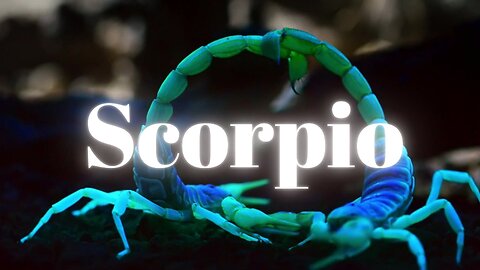 Scorpio Season Messages 10/23/24-11/22/24