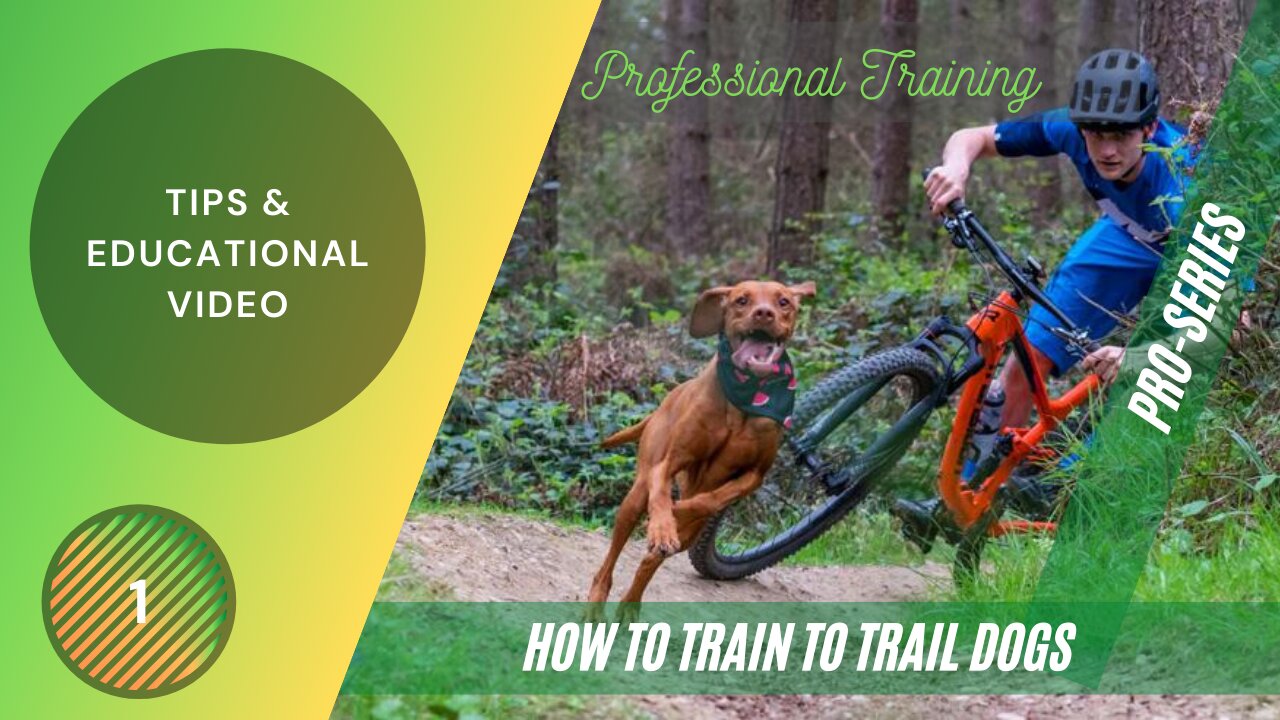 TRAIL DOG TRAINING - ON HOW TO TRAIN TRAIL DOGS