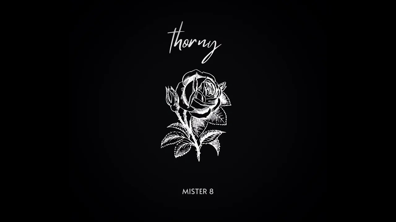 Mister 8 - "thorny" (pre-release) New 2023 Electronica Music