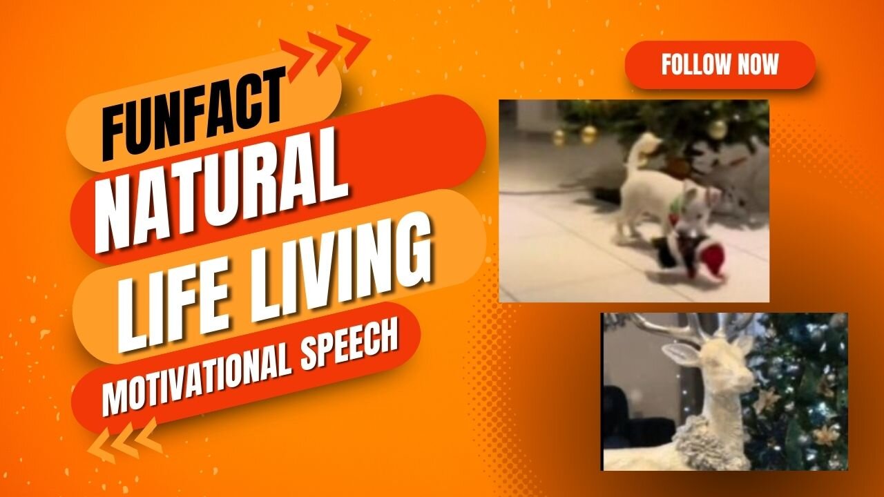 Natural life living -motivational video | motivational speech | Dailyfact24