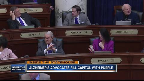 Alzheimer's advocates fill Idaho Statehouse with purple