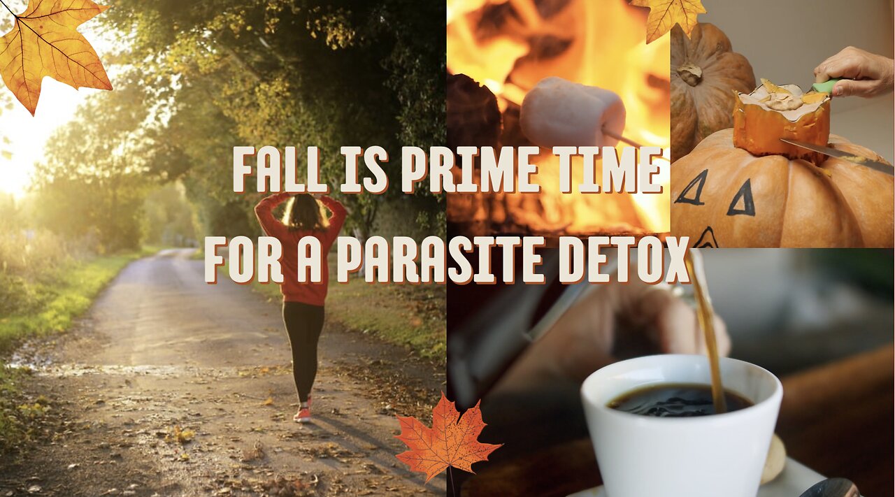 Fall Is Prime Time For Parasite Detoxing