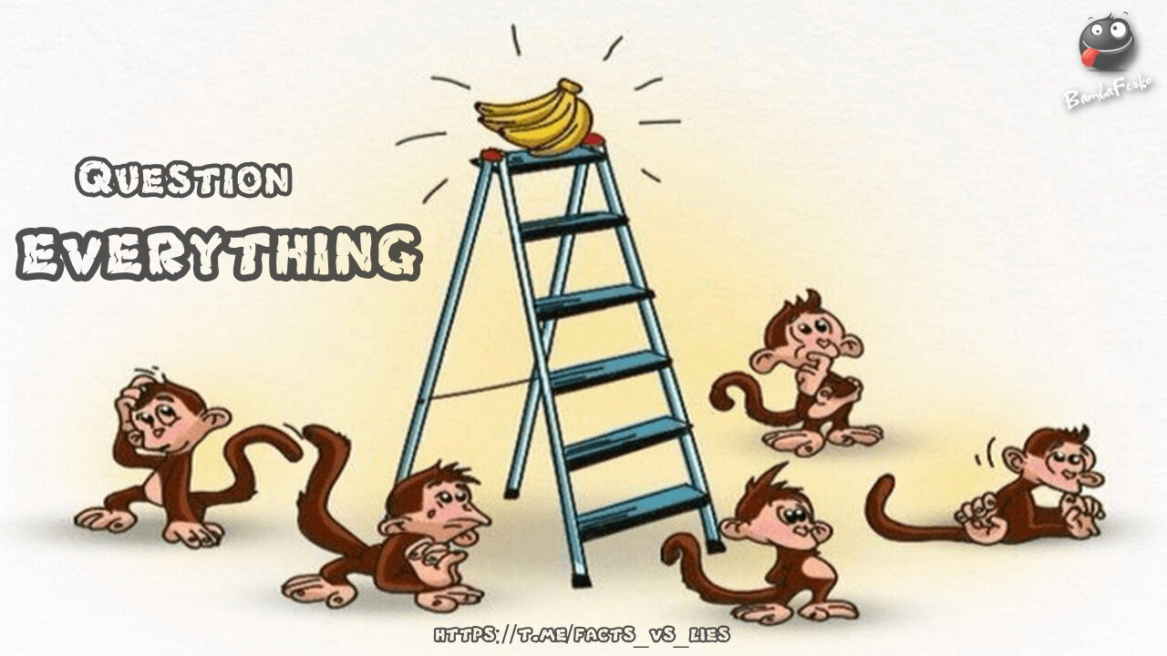 Do NOT be like a Monkey! - Question EVERYTHING!!!