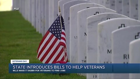 State of Michigan introduces bills to help veterans