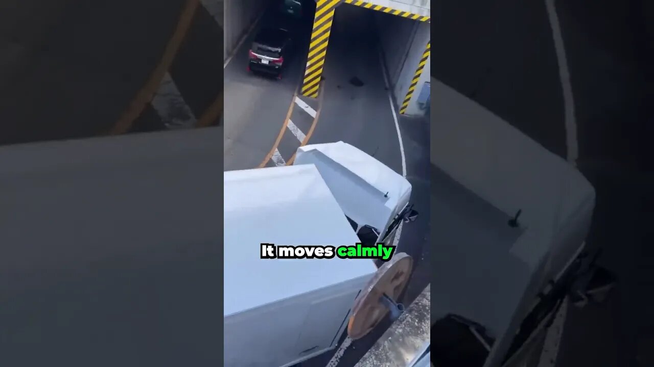 He Moves Calmly? 🤣