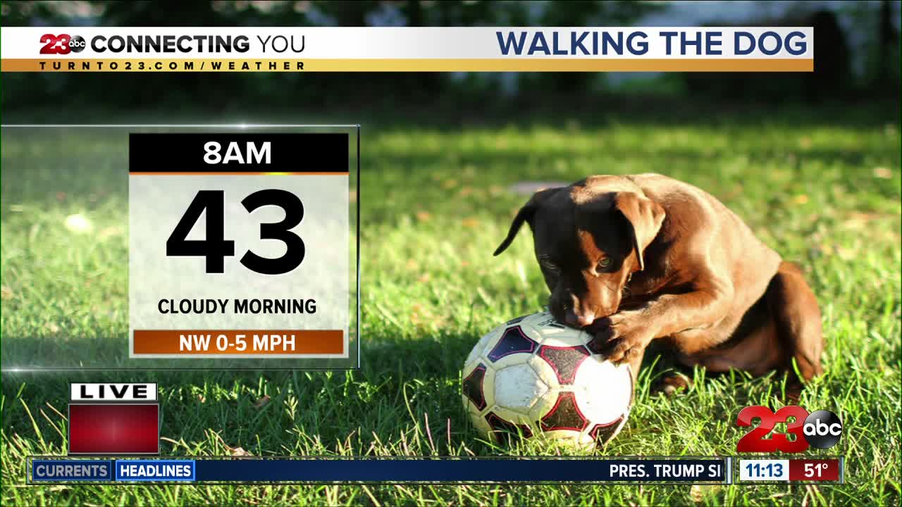 Morning walk forecast