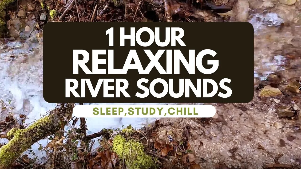 RELAXING RIVER SOUNDS 1 HOUR - THE BEST WAY FOR DEEP SLEEPING, STUDY, CHILL