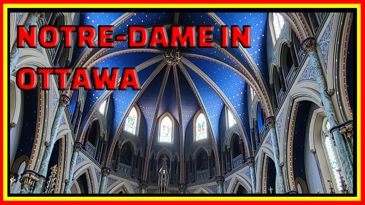 I went to the Notre dame cathedral #notredamecathedral #ottawa