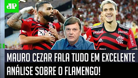 "Pensando na Libertadores, é MUITO IMPORTANTE para o Flamengo que..." Mauro Cezar FALA TUDO!